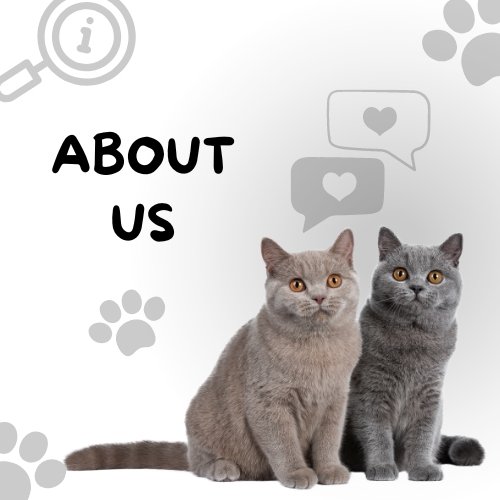 About Us Page - The Shorthair Guide