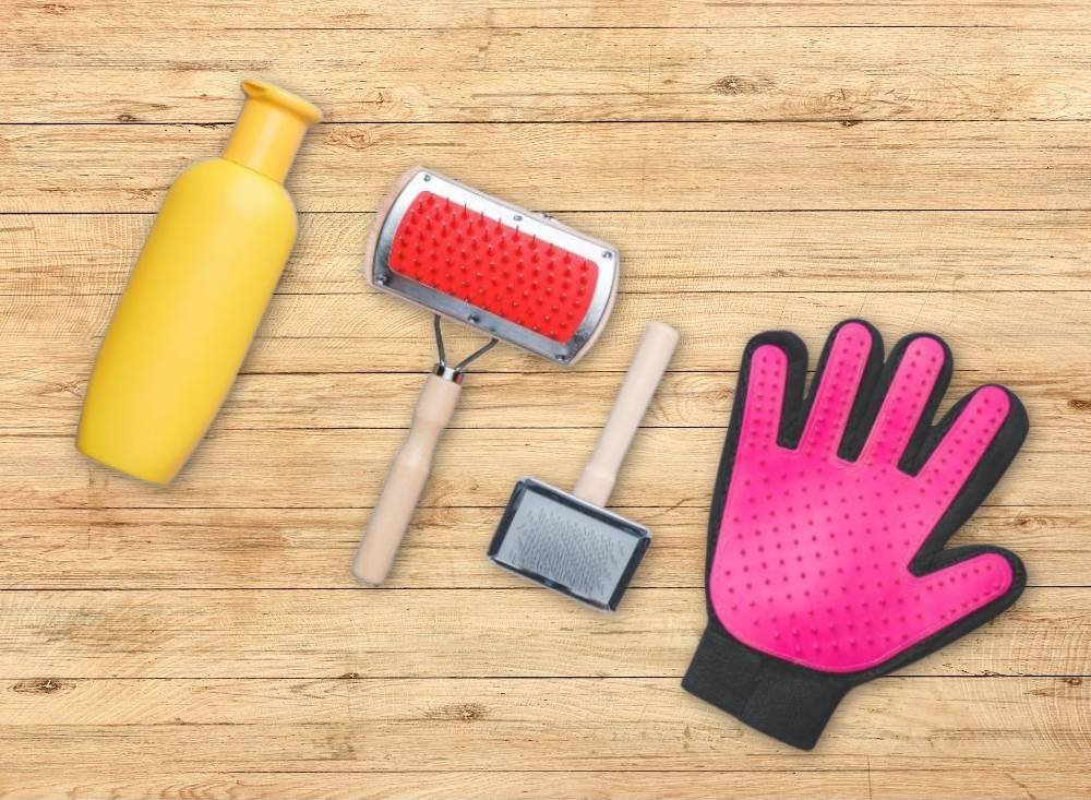 Shorthair cat grooming tools